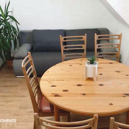 Huge Bbq Garden 2, Spacious Flat, Ac, Free Parking 2 Ljubljana Exterior foto