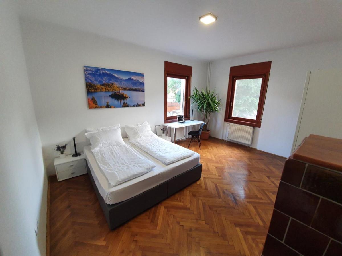 Huge Bbq Garden 2, Spacious Flat, Ac, Free Parking 2 Ljubljana Exterior foto