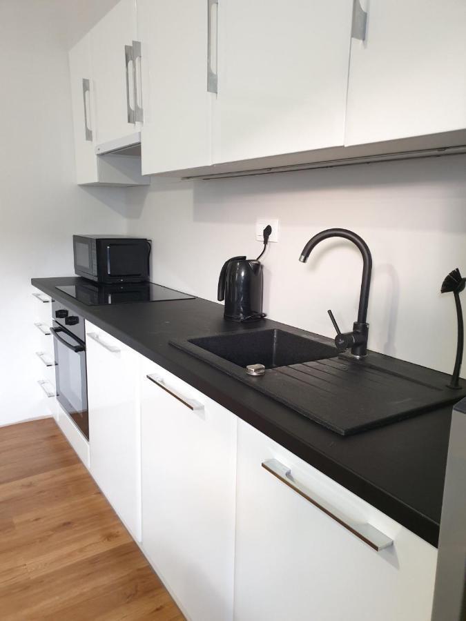 Huge Bbq Garden 2, Spacious Flat, Ac, Free Parking 2 Ljubljana Exterior foto