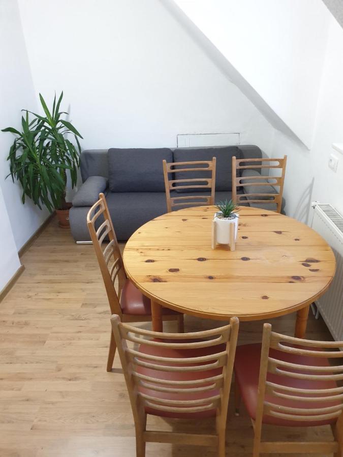 Huge Bbq Garden 2, Spacious Flat, Ac, Free Parking 2 Ljubljana Exterior foto