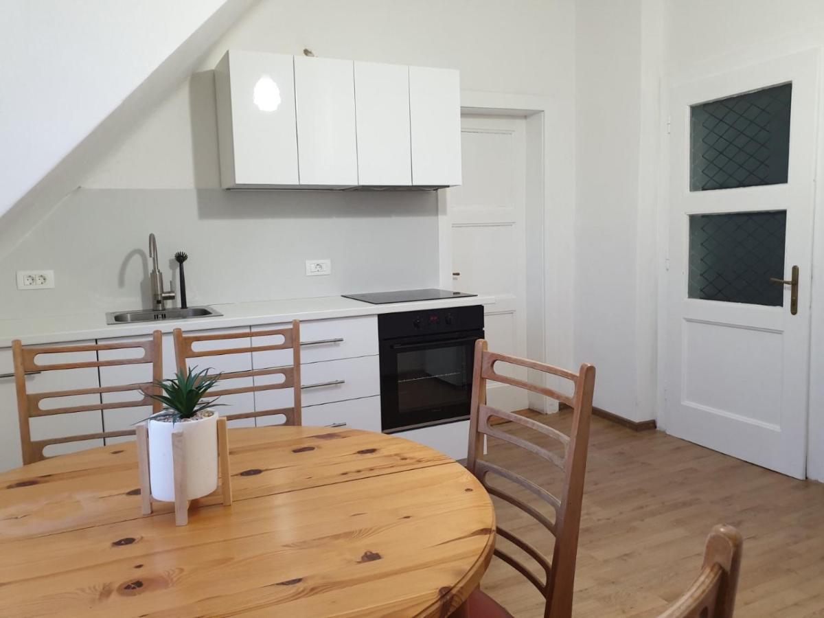 Huge Bbq Garden 2, Spacious Flat, Ac, Free Parking 2 Ljubljana Exterior foto