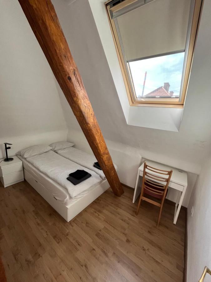 Huge Bbq Garden 2, Spacious Flat, Ac, Free Parking 2 Ljubljana Exterior foto