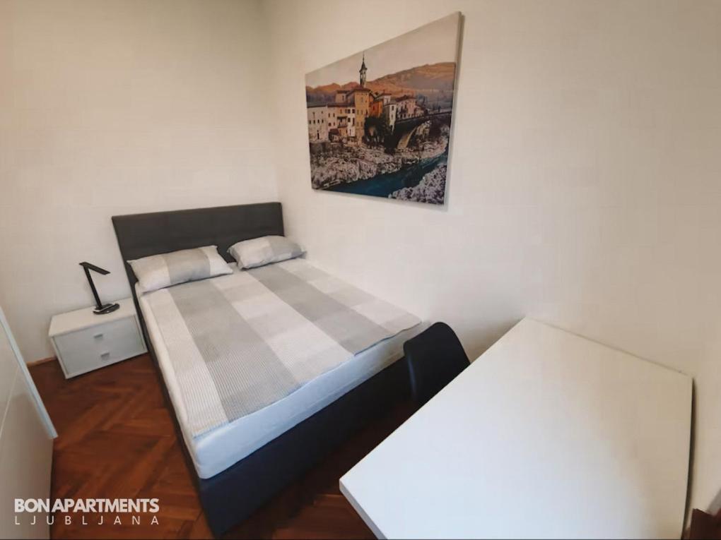 Huge Bbq Garden 2, Spacious Flat, Ac, Free Parking 2 Ljubljana Exterior foto