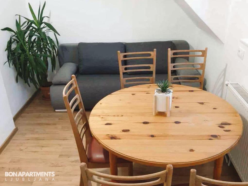 Huge Bbq Garden 2, Spacious Flat, Ac, Free Parking 2 Ljubljana Exterior foto